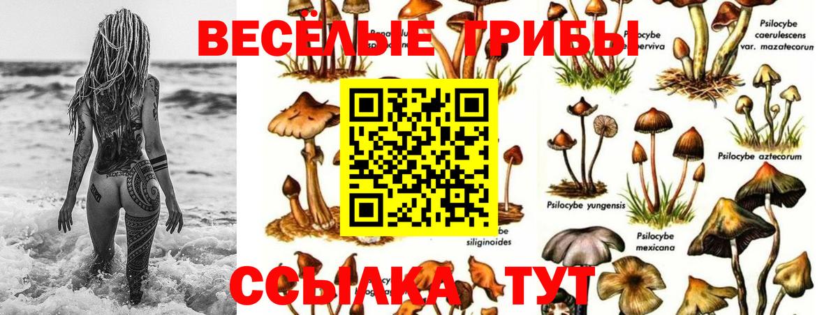 Смоленск  как найти наркотики  Вход с VPN  Галлюциногенные грибы MAGIC MUSHROOMS  Галлюциногенные грибы мухоморы 