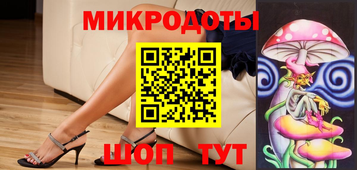 Галлюциногенные грибы Psilocybe Смоленск