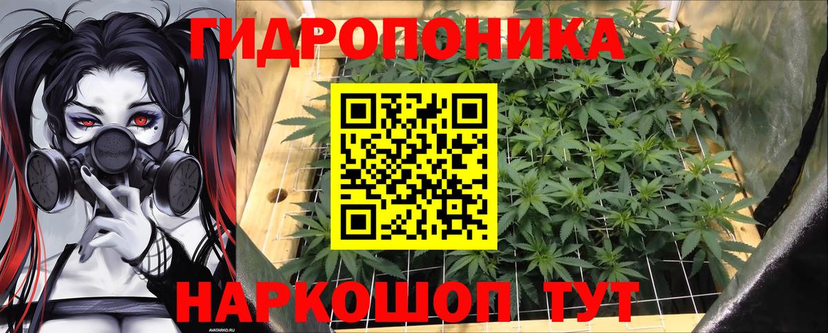 Бошки марихуана SATIVA & INDICA  Вход с VPN  Конопля OG Kush  Бошки марихуана THC 21%  Смоленск 
